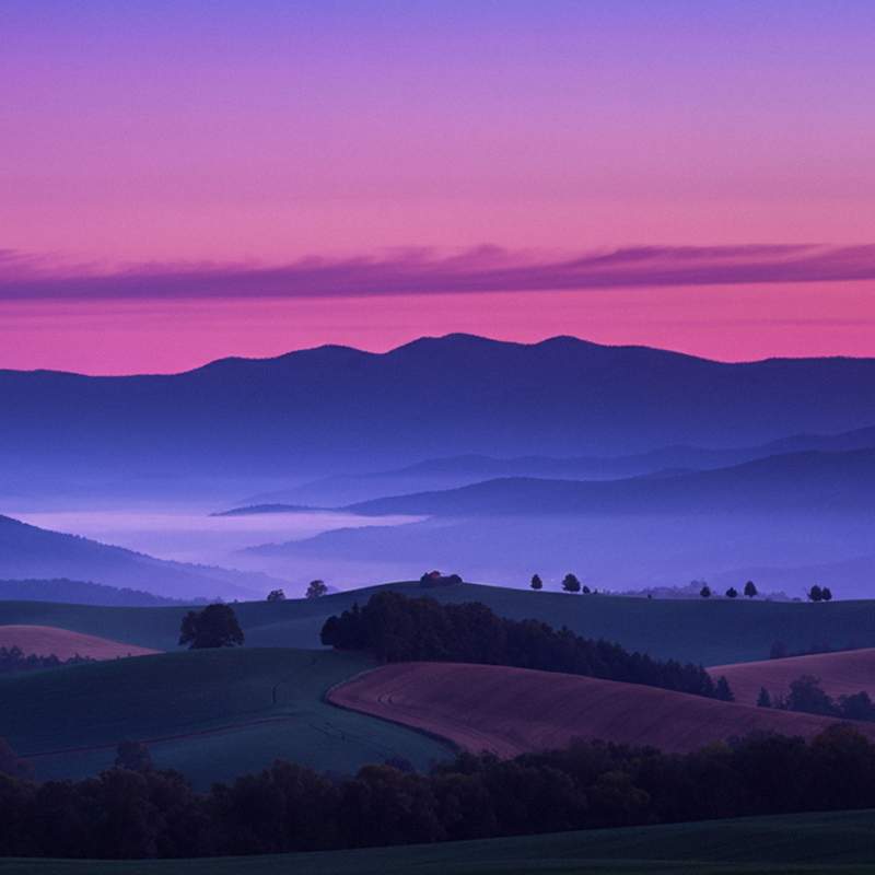 December 2025 - Goodbye 2025, Hello 2026:  The Prediction Paradox